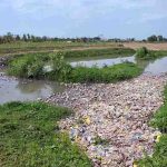 A view of a polluted water canal where the Municipal Committee is discharging sewage from Pir Khadam Shah disposal directly into the River Chenab, contaminating water used for agriculture and livestock, posing health risks and demanding the attention of the concerned authorities