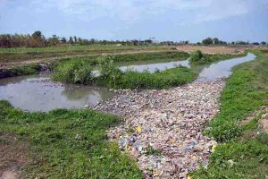 A view of a polluted water canal where the Municipal Committee is discharging sewage from Pir Khadam Shah disposal directly into the River Chenab, contaminating water used for agriculture and livestock, posing health risks and demanding the attention of the concerned authorities