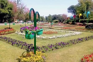 A beautiful view of flower arrangements by PHA near Canal Road.