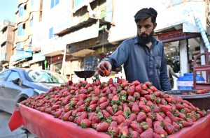 A vendor displays strawberries on his cart to attract the customers at Muslim Bazar.