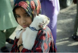 A young girl holds a Thai cat for sale at the Saddar Bird Market.