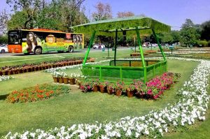 A beautiful view of flower arrangements by PHA near Canal Road.