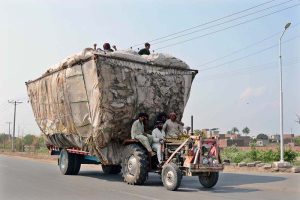 A tractor trolley is on the way loaded with chaff (husk of wheat), while labourers are sitting on top of the husk.