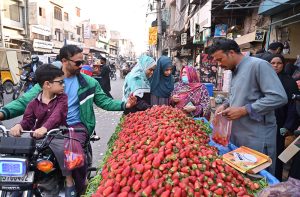 Customers purchasing seasonal fruit Strawberry from a road said vendor in preparation of Iftar to break their fast in Ramazan.