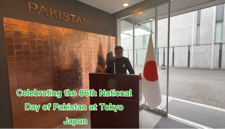 Pakistan Day observed across world in simple, dignified manner