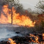 30 firefighters control Margalla Hills fire after bight-long operation