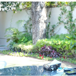 Pak forces effectively handling situation: Aleem Khan