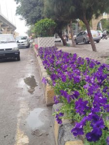 Flower-adorned parks, roads await Rawalpindi residents for Eid festivities