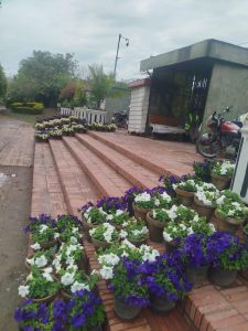 Flower-adorned parks, roads await Rawalpindi residents for Eid festivities