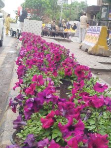 Flower-adorned parks, roads await Rawalpindi residents for Eid festivities