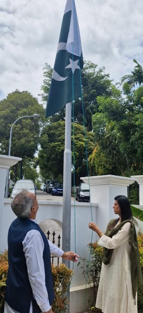 Pakistan Day observed across world in simple, dignified manner