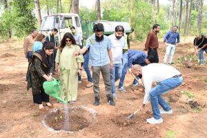 Zong advances sustainability agenda with tree plantation drive