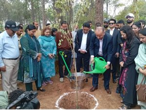 Musadik Malik announces weekly tree plantation to curb emissions, heatwave