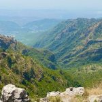 World Wildlife Day 2026 observed at Margallah Hills National Park