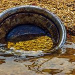 illegal gold mining