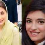 Aseefa Bhutto Zardari meets Punjab CM, diplomats at parliament