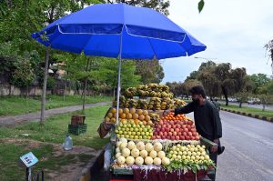 A vendor displays and sells fruits along the roadside near the G-8 area in the Federal Capital