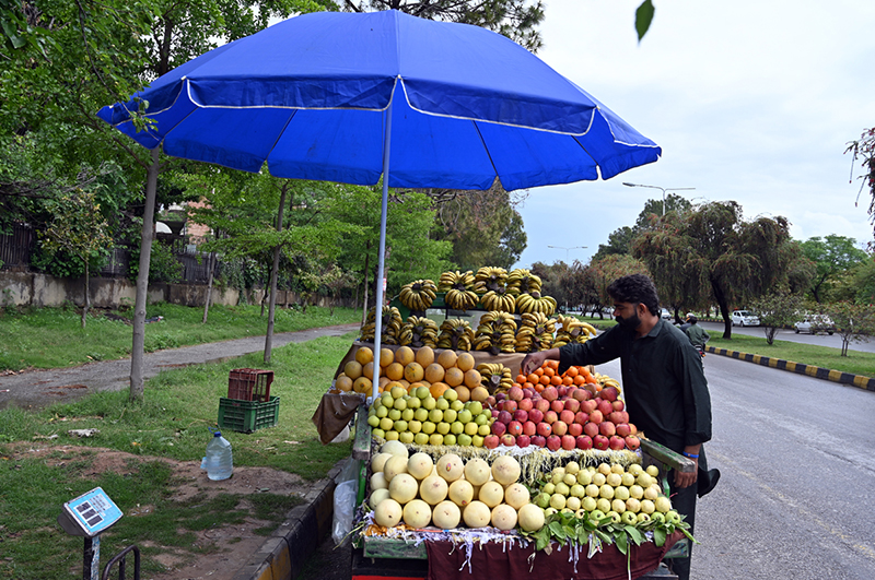 A vendor displays and sells fruits along the roadside near the G-8 area in the Federal Capital
