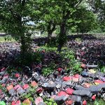 A large number of motorcycles recovered by police are parked outside a police station in the Federal Capital. The motorcycles had earlier been impounded at various police stations and special checking points during document verification drives