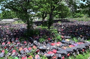 A large number of motorcycles recovered by police are parked outside a police station in the Federal Capital. The motorcycles had earlier been impounded at various police stations and special checking points during document verification drives