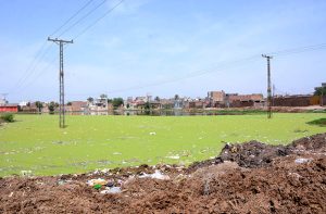 ccumulated sewerage water on Naranwala Road poses a dengue risk, prompting calls for immediate action by the concerned authorities.