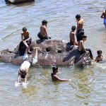 Youngsters are jumping and bathing in the Rawal Dam adjacent nallah as the mercury increases day by day in the Federal Capital