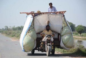 An overloaded motorcycle loader rickshaw on the way loaded chaff (husk from wheat) may cause any mishap and needs the attention of the concerned authorities.