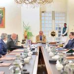 Group CEO of multinational telecommunication and digital services company VEON Kaan Terzioglu called on Prime Minister Muhammad Shehbaz Sharif