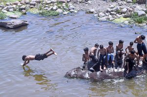 A group of young boys cool off from the sweltering heat by diving into the water and gathering on rocks at a local waterway, as residents increasingly seek natural swimming spots for relief during the ongoing heatwave