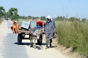 A nomadic family migrates to another place, transporting their belongings on a donkey cart.
