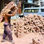 A labourer is shifting bricks during construction work of a house