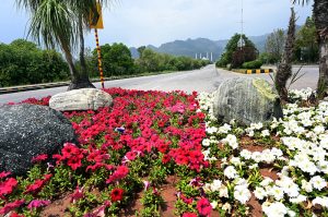 A beautiful view of colorful flowers blooming in the green belt during spring with Faisal Masjid in the background in the Federal Capital