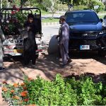 Workers unload flower plants from a loader van at a local nursery in H-9, Federal Capital