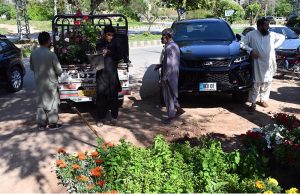 Workers unload flower plants from a loader van at a local nursery in H-9, Federal Capital