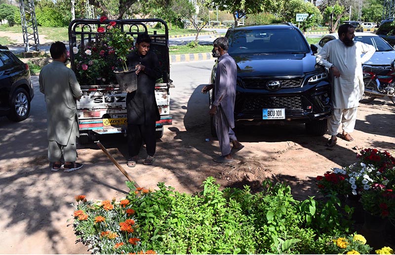 Workers unload flower plants from a loader van at a local nursery in H-9, Federal Capital