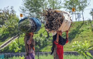 Women carry dry branches on their heads for domestic use as fuel near the Khanna Pull area in the Federal Capital