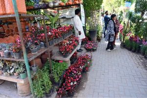 Workers unload flower plants from a loader van at a local nursery in H-9, Federal Capital