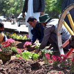 CBD workers are busy planting flowers on a green belt for the beatification drive near the Scheme 3 area