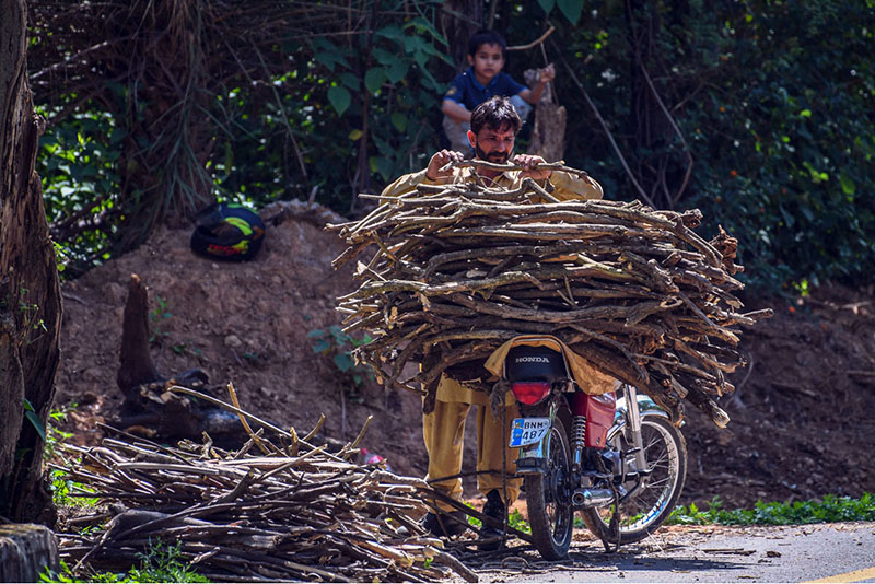 A man loads gathered firewood onto a motorcycle while a child looks on nearby, as people collect fallen branches for domestic use such as cooking or heating