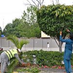 PHA gardeners are busy with their work for the beautification of the city