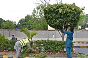 PHA gardeners are busy with their work for the beautification of the city