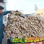 A vendor displaying garlic on his cart to attract customers at LMQ Road