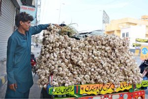 A vendor displaying garlic on his cart to attract customers at LMQ Road