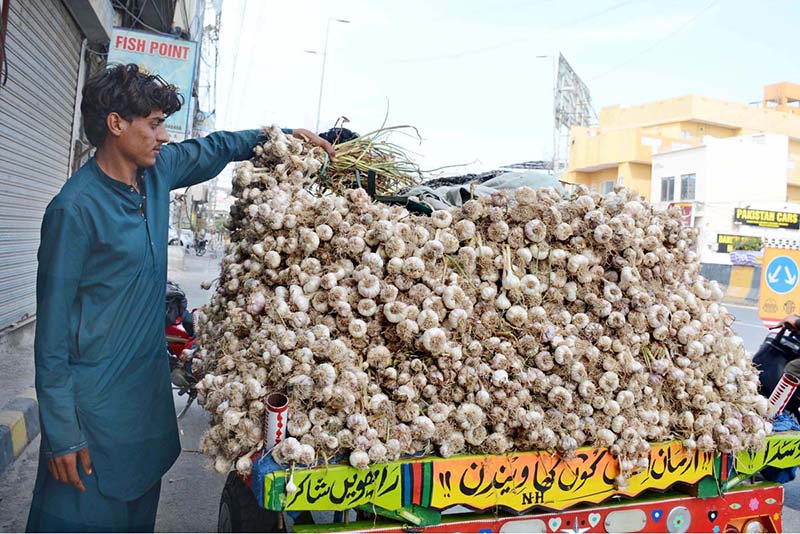 A vendor displaying garlic on his cart to attract customers at LMQ Road