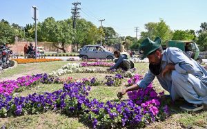 Chaklala Cantt Board (CCB) gardeners are busy in their work at roadside greenbelt.