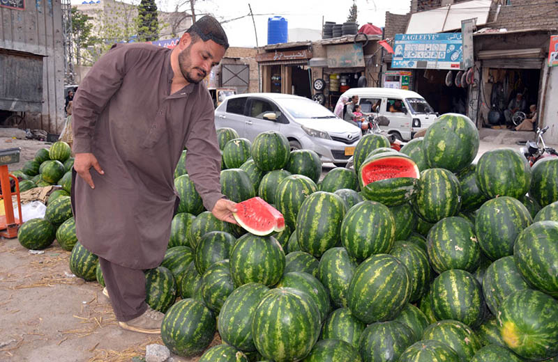A vendor displays fresh watermelons at a roadside stall, highlighting the arrival of seasonal fruit in local markets