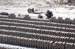 Labourers are preparing raw bricks at a local kiln to earn their livelihood.