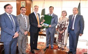 Chairman Senate, Syed Yousuf Raza Gilani in a meeting with Lt. Gen. (R) Nazir Ahmed, Chairman N.A.B at Parliament House