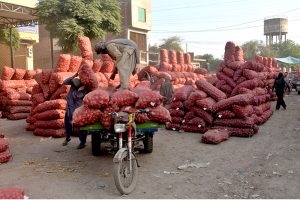 Labourers load sacks of potatoes onto a tricycle cart for delivery to different parts of the city after an auction at the vegetable market.