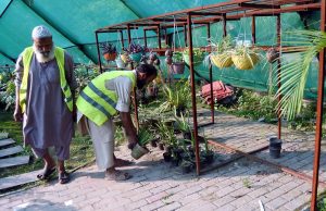 PHA gardeners work in a nursery at Racecourse Park as the authority continues beautifying the provincial capital by adorning across the city with colorful seasonal flowers